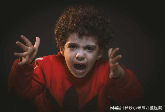：青春期孩子情绪暴躁背后的原因与应对策略pg电子中文模拟器长沙儿童心理咨询中心